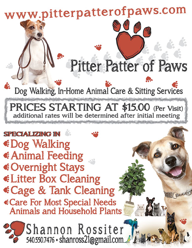 Pitter Patter Of Paws